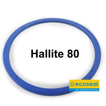Hallite T80 SWIVEL SEAL 90x100x5