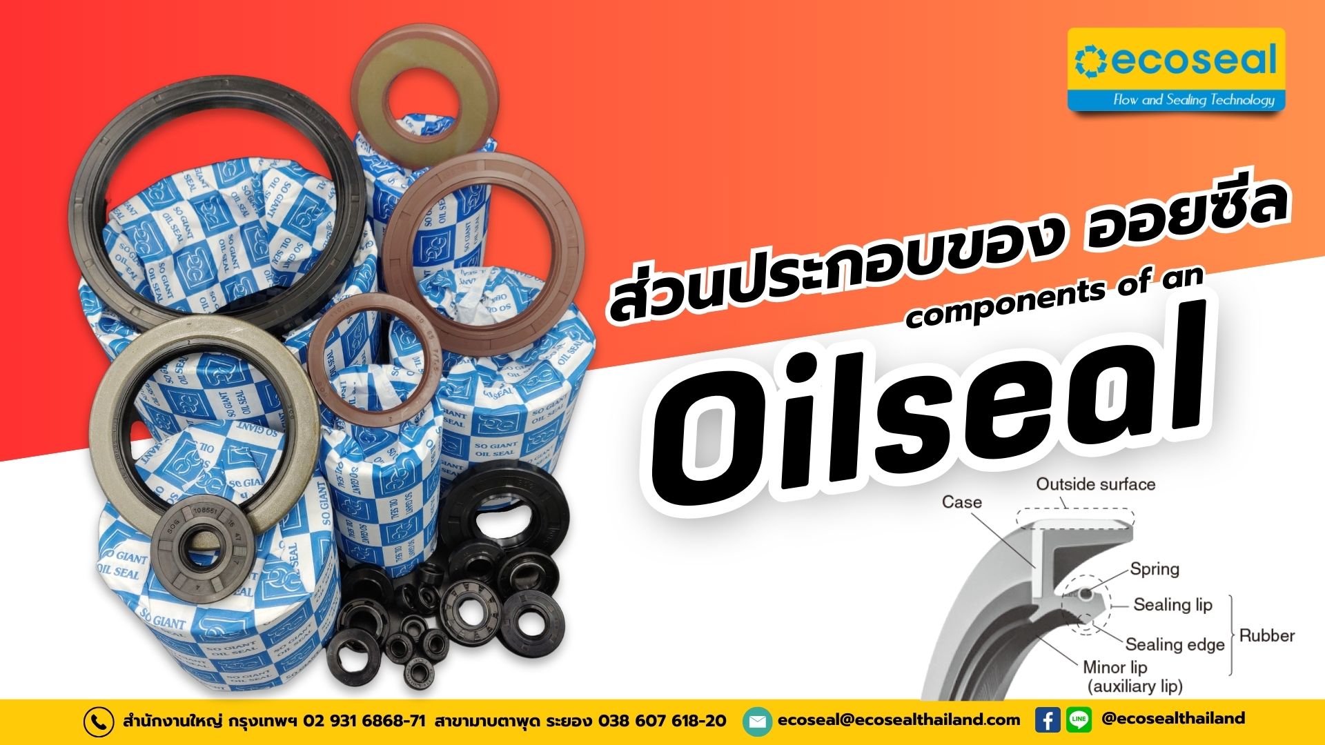 ส่วนประกอบ /โครงสร้าง หลัก ของ Oil Seal 