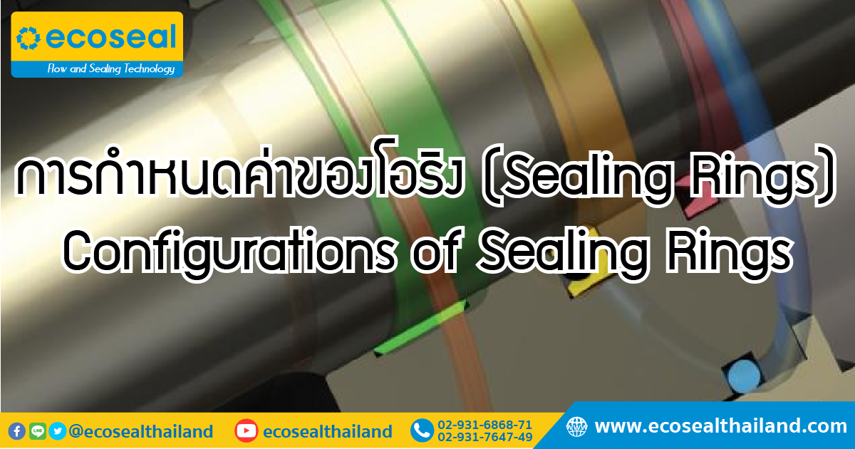 การกำหนดค่าของโอริง (Sealing Rings)